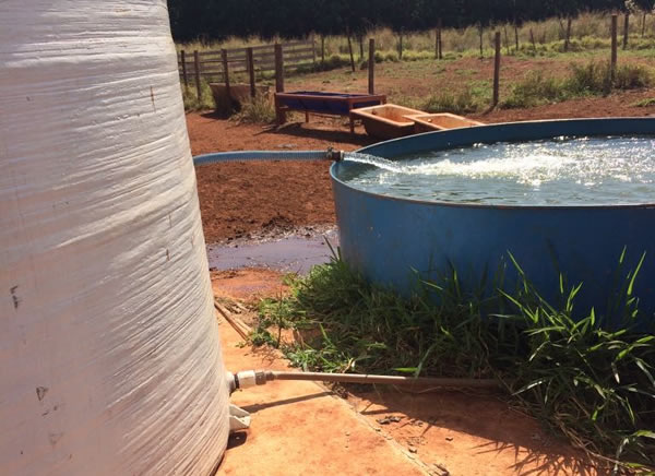 Abastecimento de bebedouro de animais